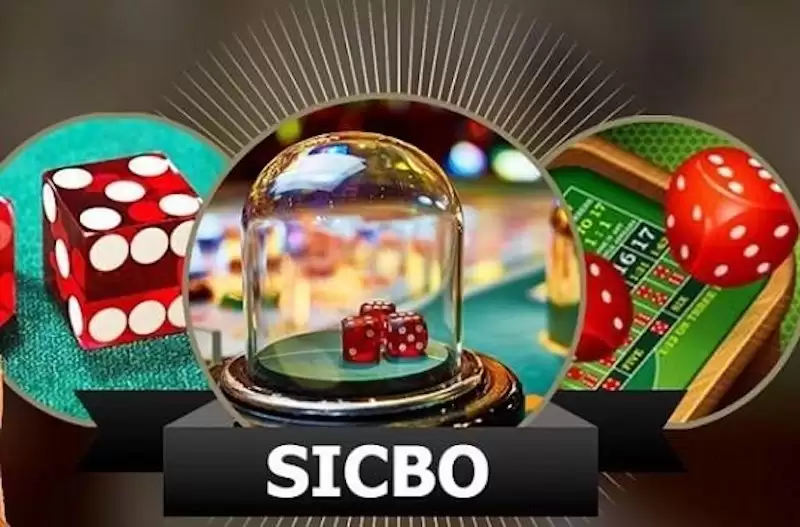 sic bo casino 456bet