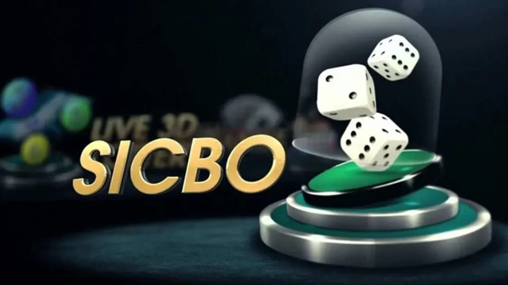 sic bo casino 456bet 